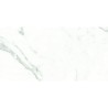 PISO PORCELANICO 60X120 COLOSSALE MATE PP142